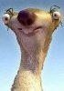 lesia